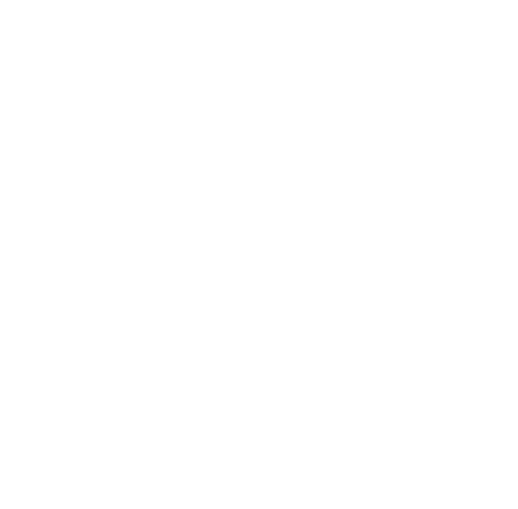 Not So AAA Logo